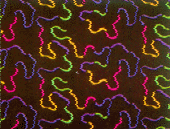The Mat King Carpet Creations / The Neon Black Light Collection - Space Maze