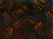 The Mat King Carpet Creations / The Neon Black Light Collection - Fireworks
