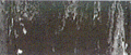Italian Rubber Flooring - Plan System / Multifloor ND - Mar 21 Eiffel