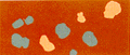 Italian Rubber Flooring - Plan System / Spotfloor 226