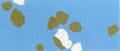 Italian Rubber Flooring - Plan System / Spotfloor 236