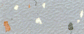 Italian Rubber Flooring - Plan System / Terrazzo