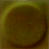 Italian Rubber Flooring - Stud System / Classic Strong V 705 Olive