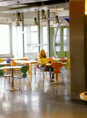 Italian Rubber Flooring - Stud System / Classic BJ 060 Illustration